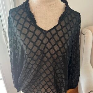 Gently worn long sleeve sheer black Banana Republic size m top